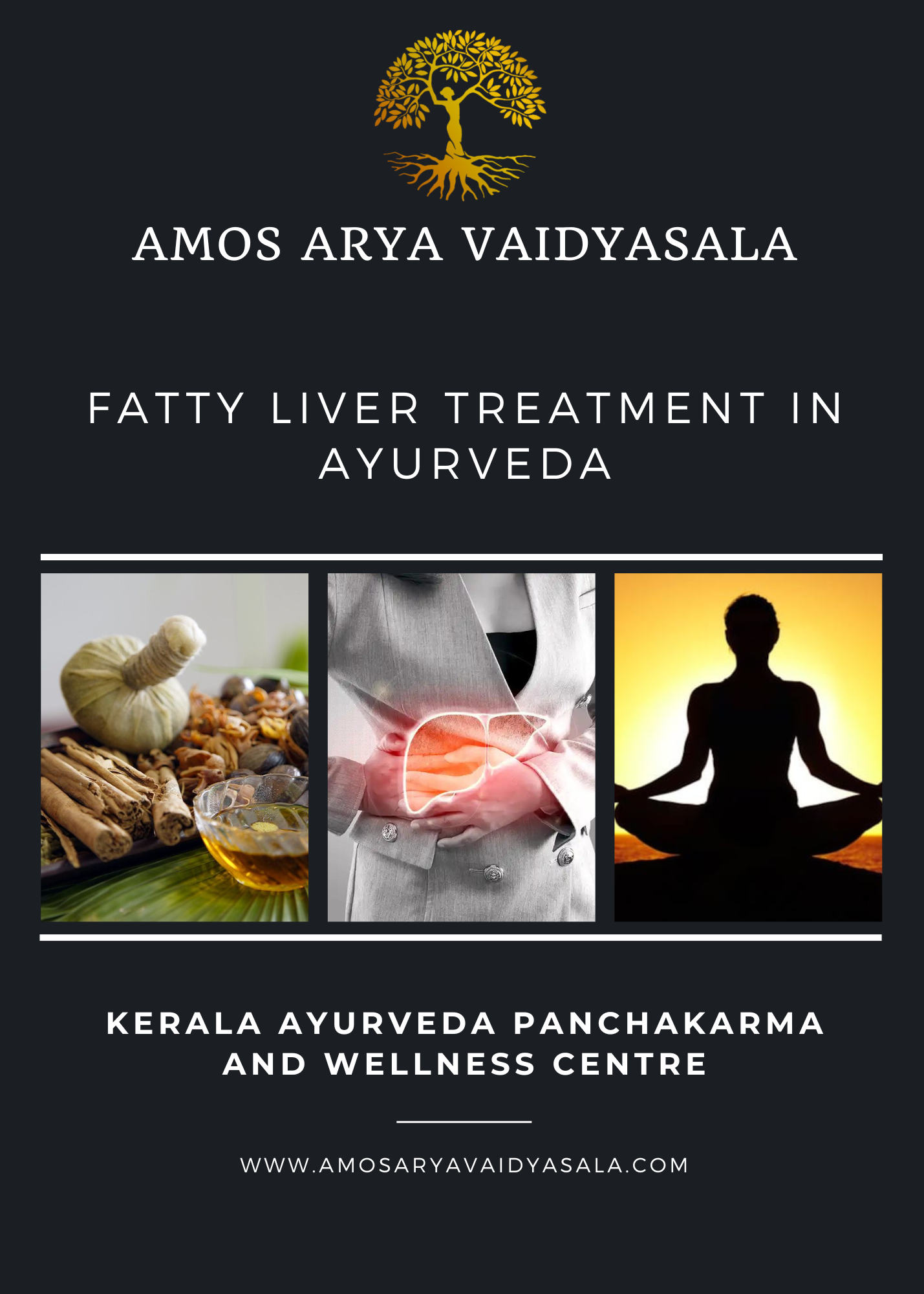 Fatty liver treatment in ayurveda 
